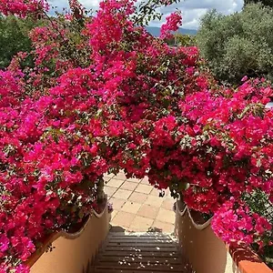 https://casa-vacanze-la-brii.in-sardinia.net